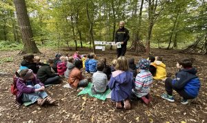 Waldtag der Klasse 2d Beitragsbild